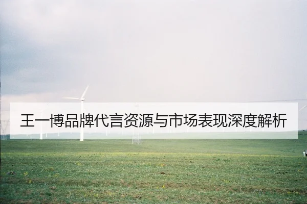 王一博品牌代言资源与市场表现深度解析